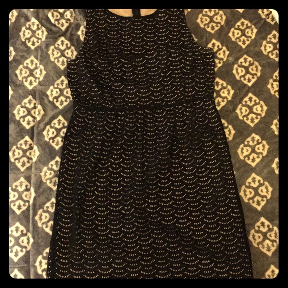 Loft round eyelet black dress